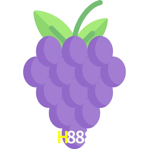 H888